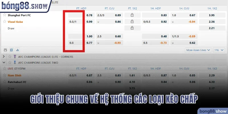 Giới thiệu chung về hệ thống các loại kèo chấp